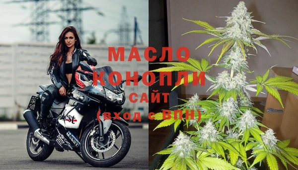 гашик Пересвет