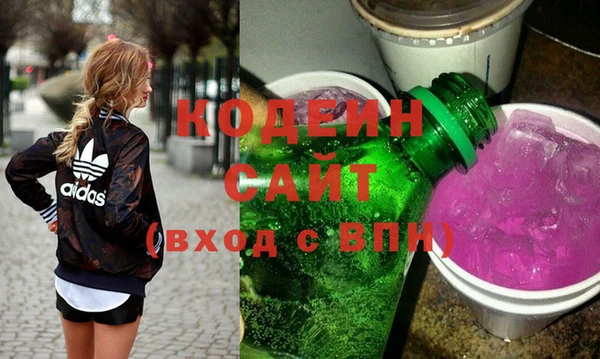 гашик Пересвет