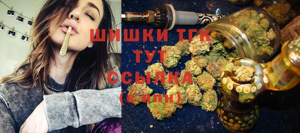 гашик Пересвет