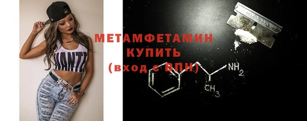 прущие грибы Переславль-Залесский