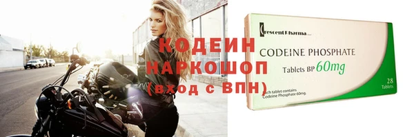 прущие грибы Переславль-Залесский