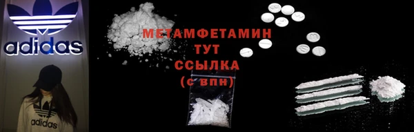 прущие грибы Переславль-Залесский