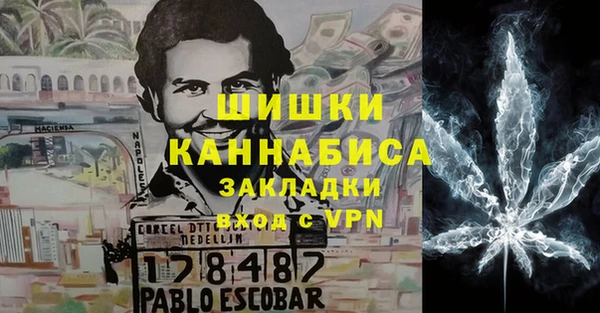 прущие грибы Переславль-Залесский