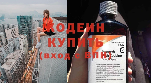 прущие грибы Переславль-Залесский