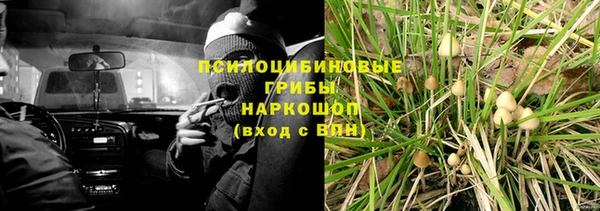 гашик Пересвет