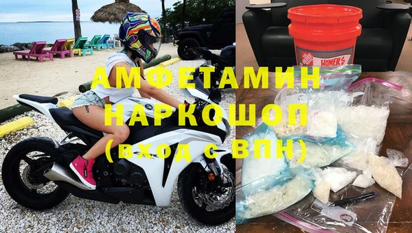 гашик Пересвет