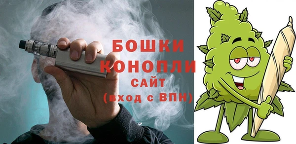 прущие грибы Переславль-Залесский