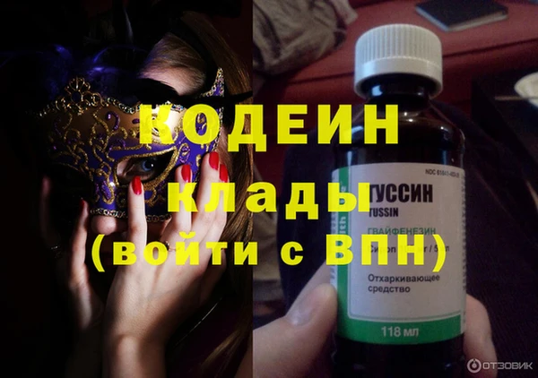гашик Пересвет