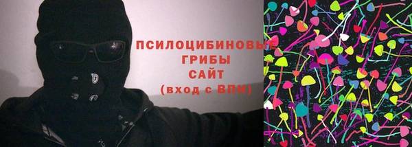 гашик Пересвет