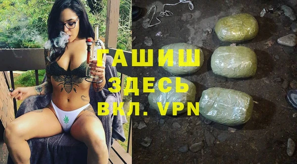 гашик Пересвет