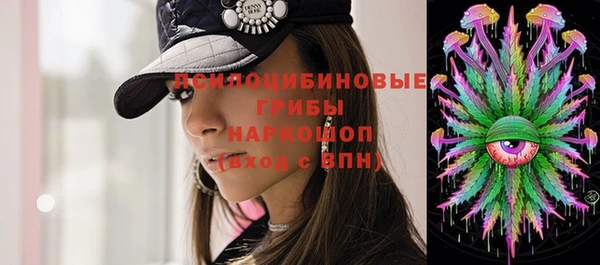 гашик Пересвет
