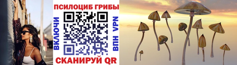 Галлюциногенные грибы GOLDEN TEACHER  Терек 